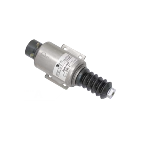 GRUPPO D -DS 60